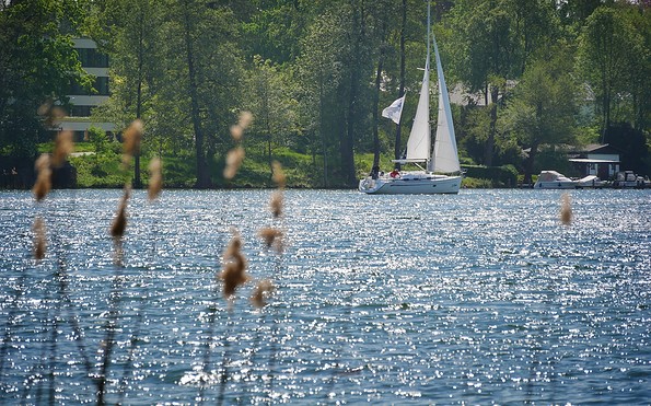 Segelboot auf dem Scharmützelsee, Foto: Seenland Oder-Spree/Angelika Laslo