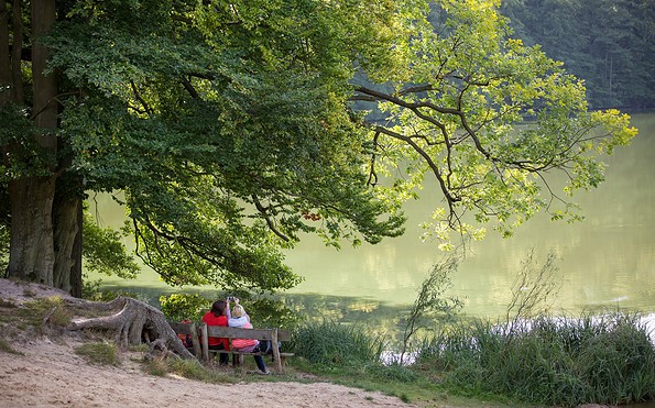 Naturpark Schlaubetal, Foto: Seenland Oder-Spree/Florian Läufer