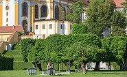 Kloster Neuzelle Mönchstour, Foto: Seenland Oder-Spree/Florian Läufer