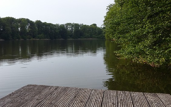 Natural Bathing Areas at Lake Großer Lankesee