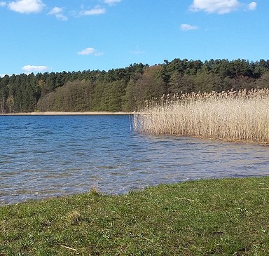 Bathing Area at Lake Roofensee in Menz