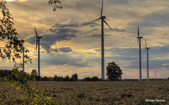 Windkraftanlagen in der Lausitz, Foto: Peter Becker
