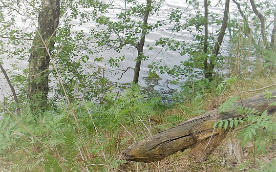 Spuren des Namengebers, Foto: TEG
