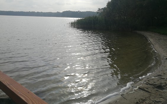 Bathing Area at Lake Ruppiner See in Wustrau (at the Castle)