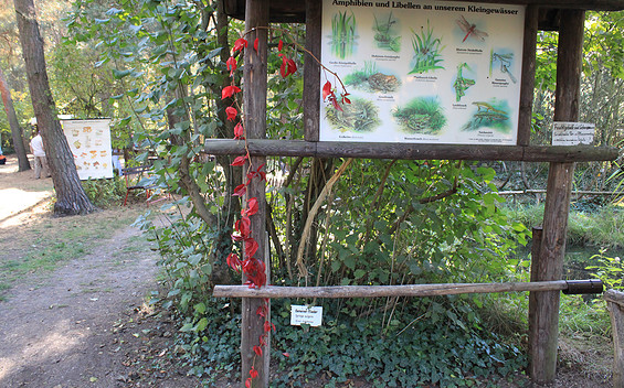 Im Naturlehrgarten © Marit Schaller