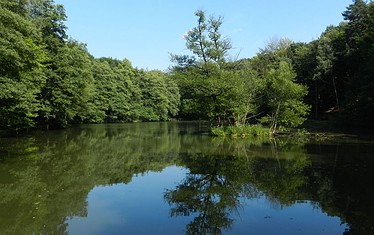 Teufelssee, Foto: NaturFreunde Oberbarnim-Oderland e.V.