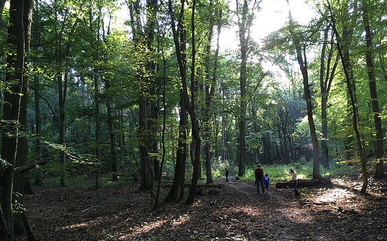 In den Densenbergen © terra press Berlin