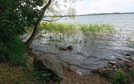 Am Parsteiner See © Wegewart WITO Barnim
