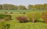 Koppelblick