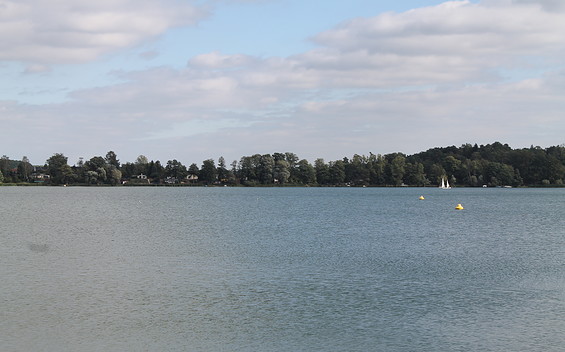 Schwielochsee (Fishing Lake)