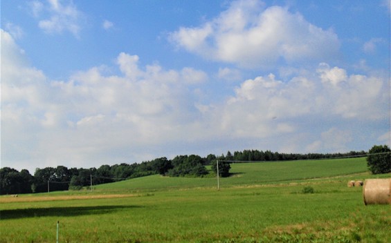 Blick auf den Behlower Aussichtspunkt, Foto: TEG