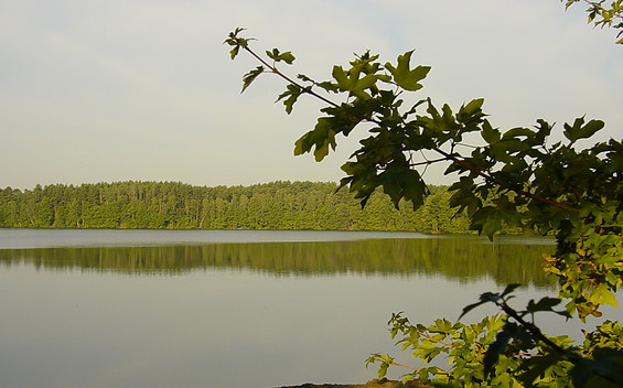 Blick auf den Mochowsee, Foto: TEG
