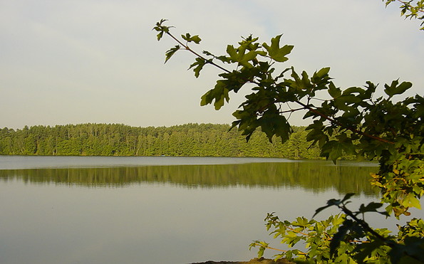 Blick auf den Mochowsee, Foto: TEG