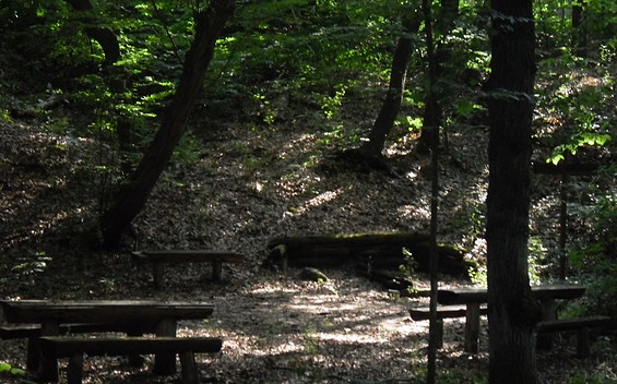 Rast am Börnchen, Foto TEG