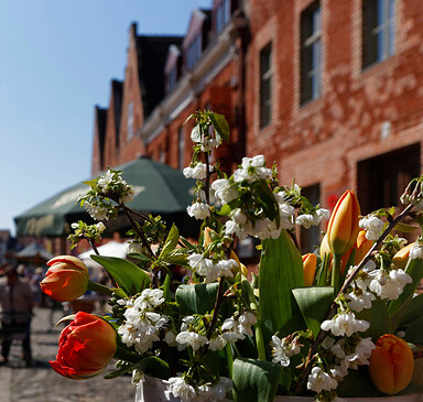 Stadtführung "Stadtspaziergang durch Potsdam"