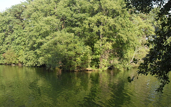 Blick auf die Liebesinsel, Foto: TEG