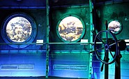 Aquasphäre Unterwasserwelt in der Biosphäre Potsdam (c) Biosphäre Potsdam