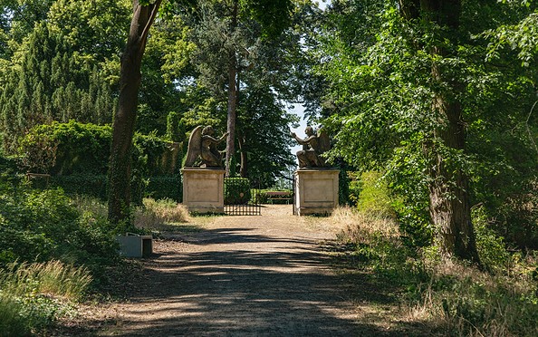 Schlosspark Plaue, Foto: TMB-Fotoarchiv/Steffen Lehmann
