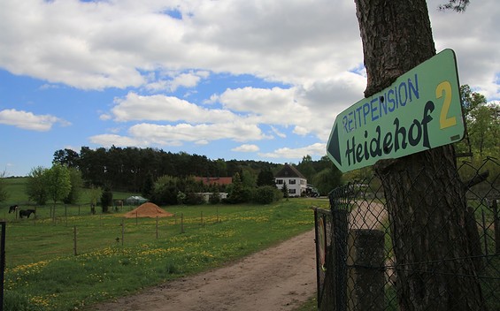 Reitpension Heidehof, horse farm