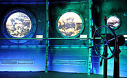 Aquasphäre underwater world Biosphäre Potsdam (c) Biosphäre Potsdam