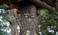 Kletterwald Lübben - Der Abenteuerpark im Spreewald