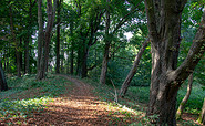 Wandern auf dem Burgwall, Foto: TMB-Fotoarchiv/ScottyScout