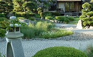 ROJI Japanische Gärten - Der Trockenlandschaftsgarten ist das Herzstück der ganzen Anlage - viele geschnittenen Büsche, gestaltete Kiefern, Felsen und geharkter Kies, Foto: Gesine Jochems