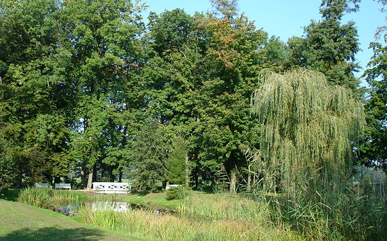 Meyenburg Palace Park