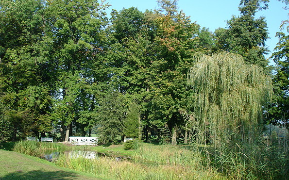 Der Schlosspark Meyenburg