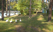 Campingplatz Zesch am See, Foto: Carsten Voltz