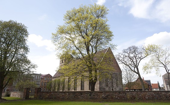 St. Sabinen, Foto: Köller/ Tourismusverein Prenzlau