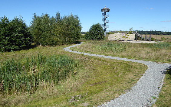 Sonnenliegen im Karthanepark, Foto: Stadt Bad Wilsnack/Torsten Engelbrecht