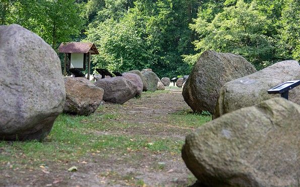 Blick auf den Geologischer Garten, Stolzenhagen, Foto: ScottyScout