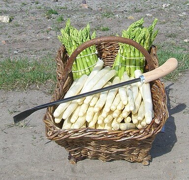 Spargelhof Jürgen Falkenthal, asparagus farm