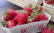Erdbeeren, Foto: Pomona Gartenbau GmbH &amp; Co. KG