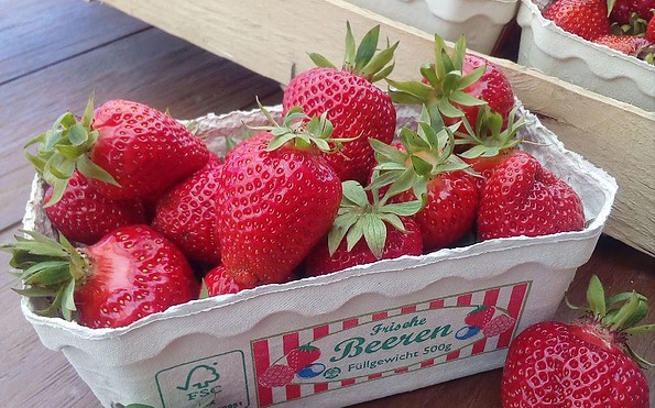 Erdbeeren, Foto: Pomona Gartenbau GmbH &amp; Co. KG