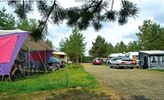Spreewald-Natur-Camping - Camping