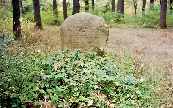 Grab der von Schulenburgs auf dem Kapellberg, Foto: TEG