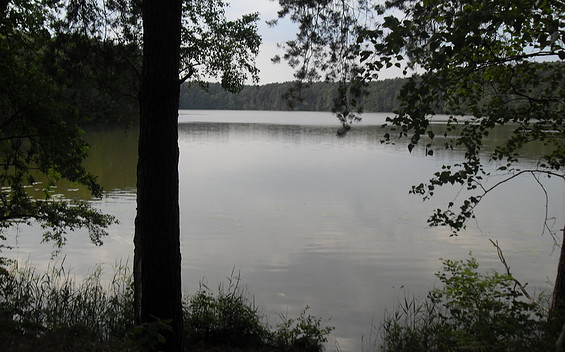 Natur Pur am Raduschsee, Foto: TEG