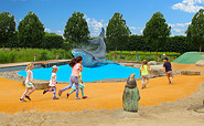 Schlosspark-Wal »Oki« im Wasserspielbereich, Foto: TKO gGmbH