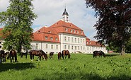 Das Landgestüt in Neustadt (Dosse), Foto:Jörg Menge