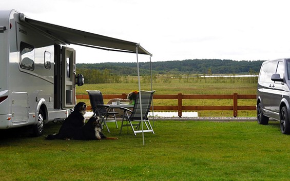 Wohnmobilstellplatz "Hof Richert"