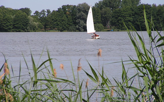 200 Meter vom Schwielochsee entfernt liegt das Haus Schwielochsee, Foto: TEG