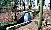 Kaiserrundweg, Wasserfall, Foto: Amt Joachimsthal (Schorfheide)