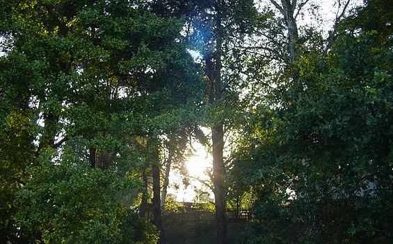 Abwechslungsreiche Landschaft und verschiedenste Pflanzenformationen, Foto: TEG
