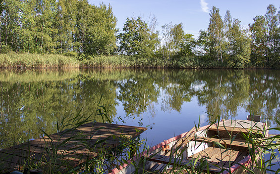 Naturbad Groß Kölzig, Foto: TMB-Fotoarchiv/ScottyScout