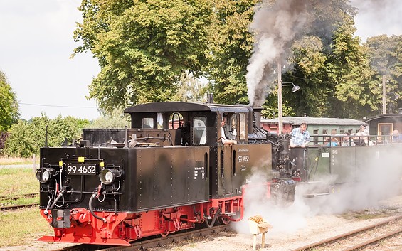 "Pollo", Foto: Archiv Tourismusverband Prignitz e.V./Markus Tiemann
