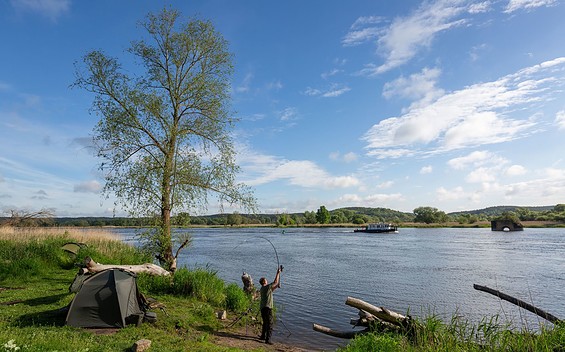 Oder, Welsangeln, Foto: Florian Läufer