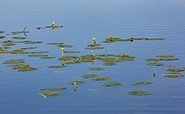 Blick auf den Katharinensee, Foto: Florian Läufer