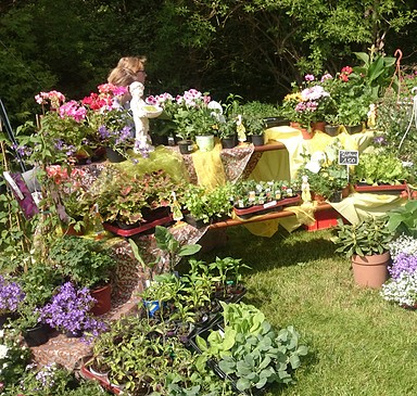 Gärtnerei Sommerfeld, vegetables & fruits